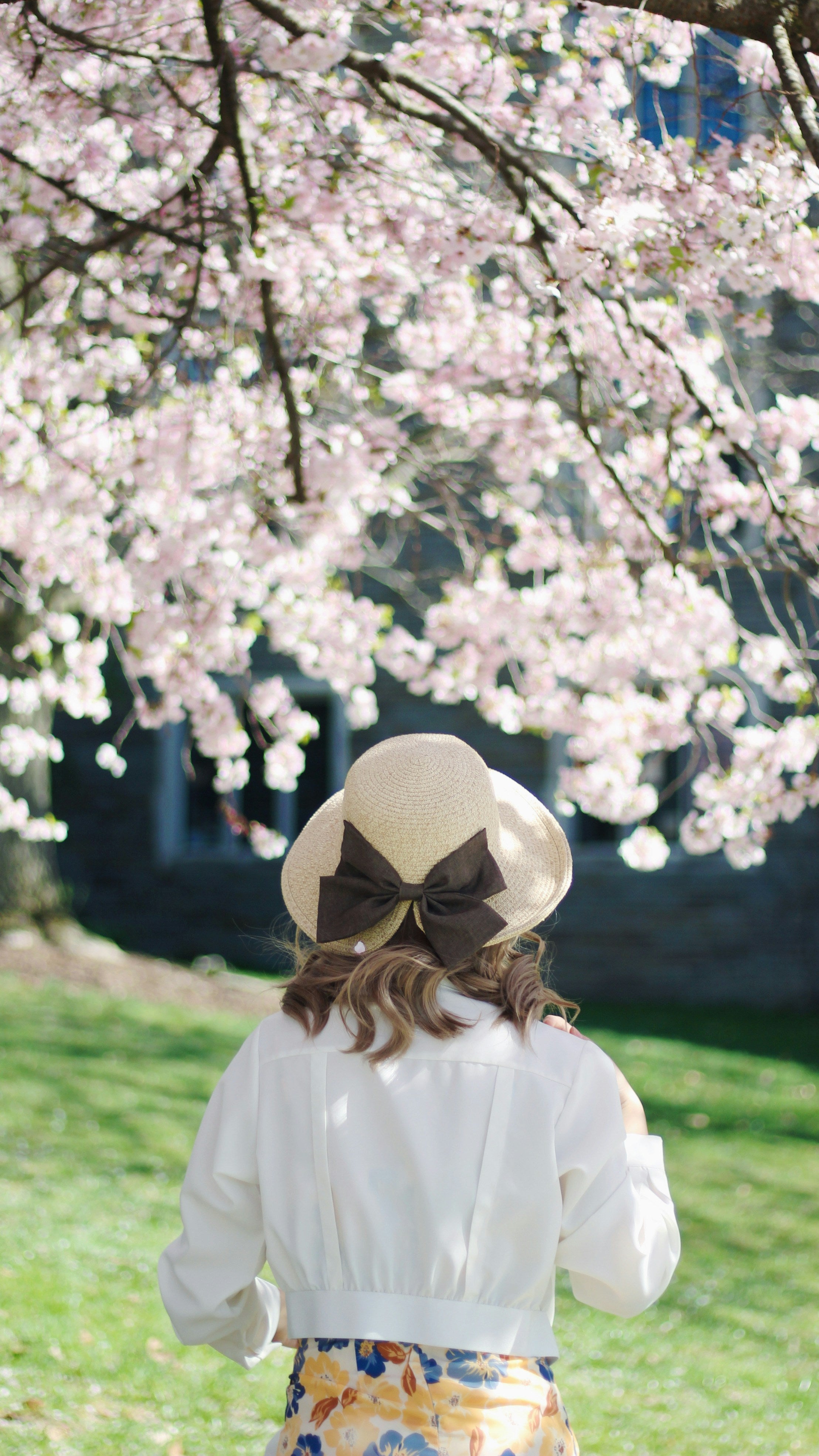 Primavera
